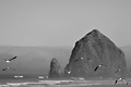 Haystack Rock